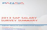 SAP Salary Survey 2013 NEW