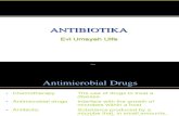 Antibiotika Evi 2012
