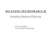 Weaving Chapter1c 06S