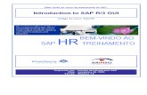 Introducao SAP