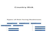 11. Country Risk