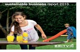 Britvic 2013_ Sustainable Report