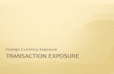 Financial Transaction Exposure