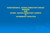 Nsaids and Other Antinflammatory Agents in Veterinary Practice
