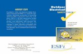 A Outdoor Electrical Safety Check