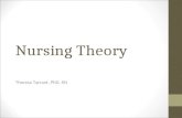 Nursing Theory - Structure of Nursing Knowledge