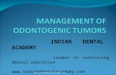 Management of Odontogenic Tumors / orthodontic courses by Indian dental academy