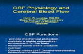CSF and Cerebral Blood Flow