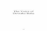 Db Voice Site1 English