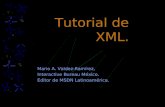 Curso Basico de XML