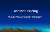 24312282 Transfer Pricing Ppt (1)