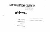 SAP BO Objectsss