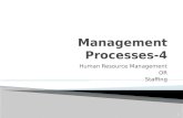 Management Processes-4 HRM