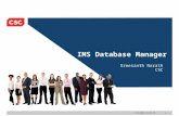 IMS Database Manager