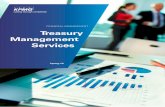 Pub 20131113 Treasury Management Services En