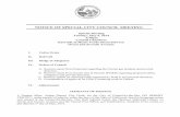 City Council Special Meeting Agenda Packet 05-06-14