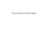 Transaction Manager Overview