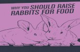 Why You Should Raise Rabbits for Food