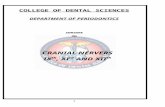 Cranial Nerves X,XI & XII / orthodontic courses by Indian dental academy