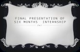 Final Presentation of Six Months Internship