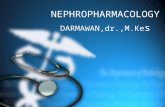 Neph Ro Pharmacology