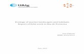 Ecology of marine landscapes and habitats: Report of field work in Ria de Formosa