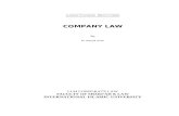 Lecture Notes on Company Law