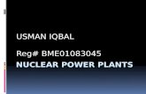 _ Presentation Nuclear Power Plants