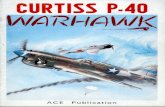 (1993) Curtiss P-40 Warhawk