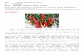 Guidelines Fertilizer Recomendation Chili in Indonesia