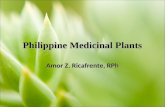 Philippine Medicinal Plants