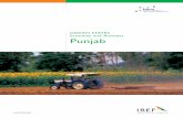 Punjab Lores