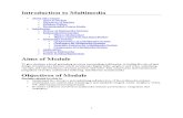 0055 Introduction to Multimedia Systems Notes