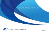 ICIP Sustainability Report 2013
