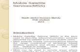 Mobile Satellite Services