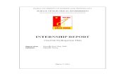 Internship Report Trung V1