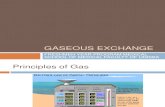 Gaseous Exchange 1112
