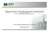 Opportunities in the Brazilian Oil and Gas Sector