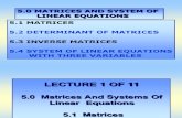Lecture 1 of 11 (Chap 5, Matrices)