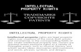 58895712 Intellectual Property Rights