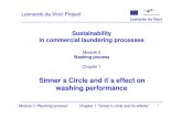 Microsoft PowerPoint - Module 3-1 Sinner Circle Perf Effects