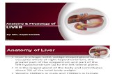 Anatomy & Physiology of Liver by Anjali