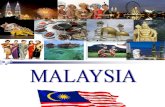 COMPARATIVE MANAGEMENT OF MALAYSIA
