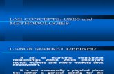 41 Lmi Concepts, Uses and Methodologies-ppt