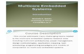 Multi-proccessor Embedded System