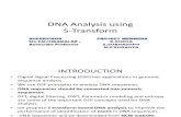 DNA Analysis Using S Transform Corrected