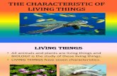 6.1 Characteristic of Living Things