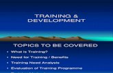 Training - Human Resource Management