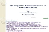 Role of Managers in Co-Operatives