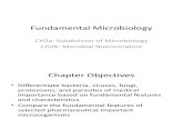 Fundamental Microbiology